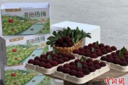 梦见求助高速赋能产业升级：一条“杨梅路”的致富密码